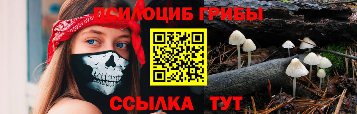 Галлюциногенные грибы GOLDEN TEACHER Луга